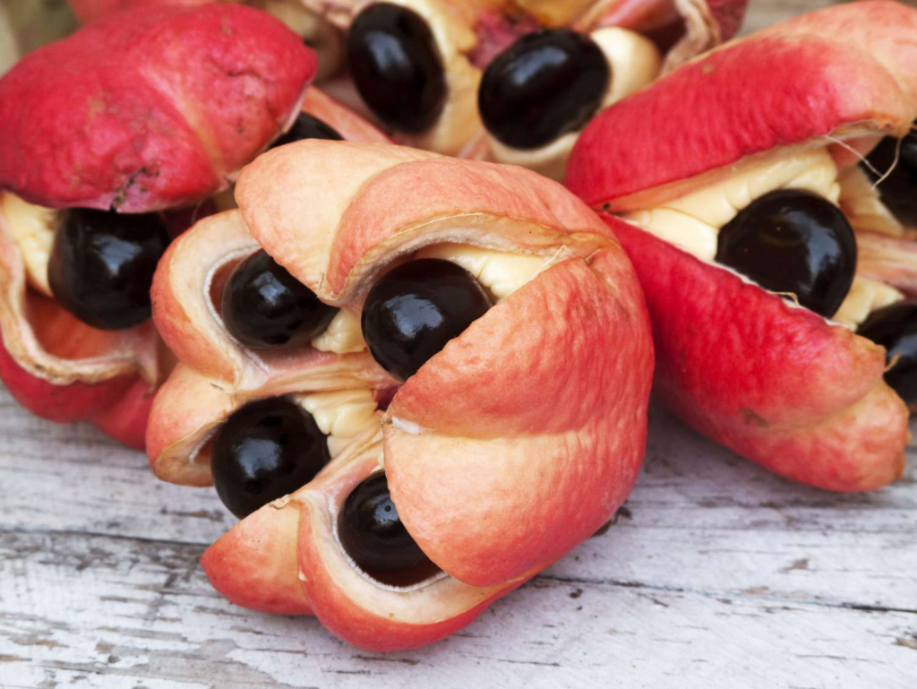 nutrition-facts-and-health-benefits-of-the-ackee-fruit